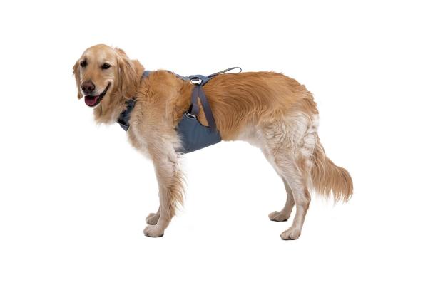 Load Up™ Harness (New Design) Slate Blue Gr. M Load Up™ Harness (New Design) Slate Blue Gr. M